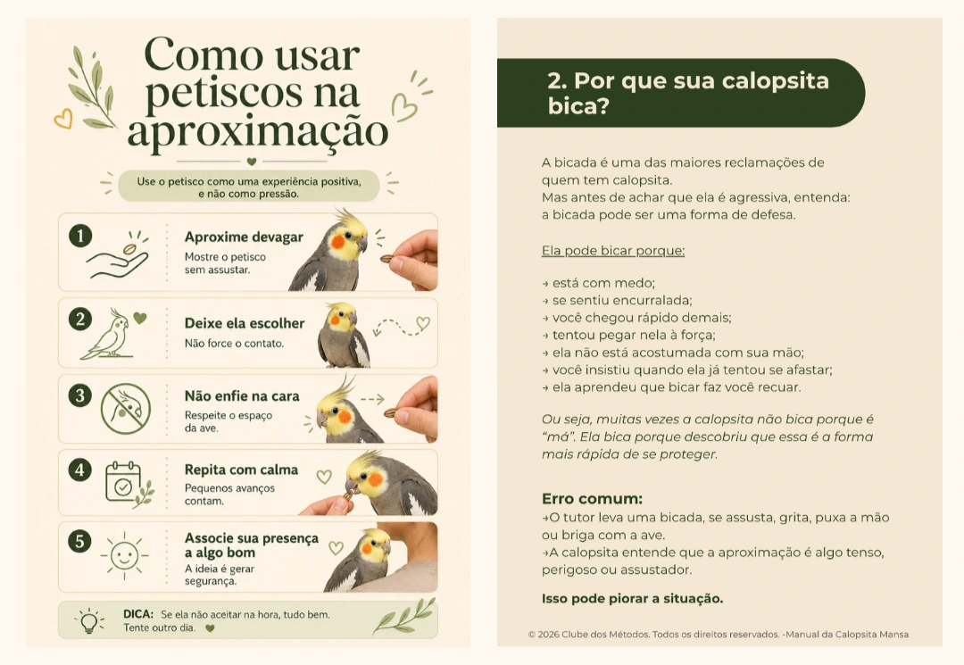 Página 2 do Manual da Calopsita Mansa