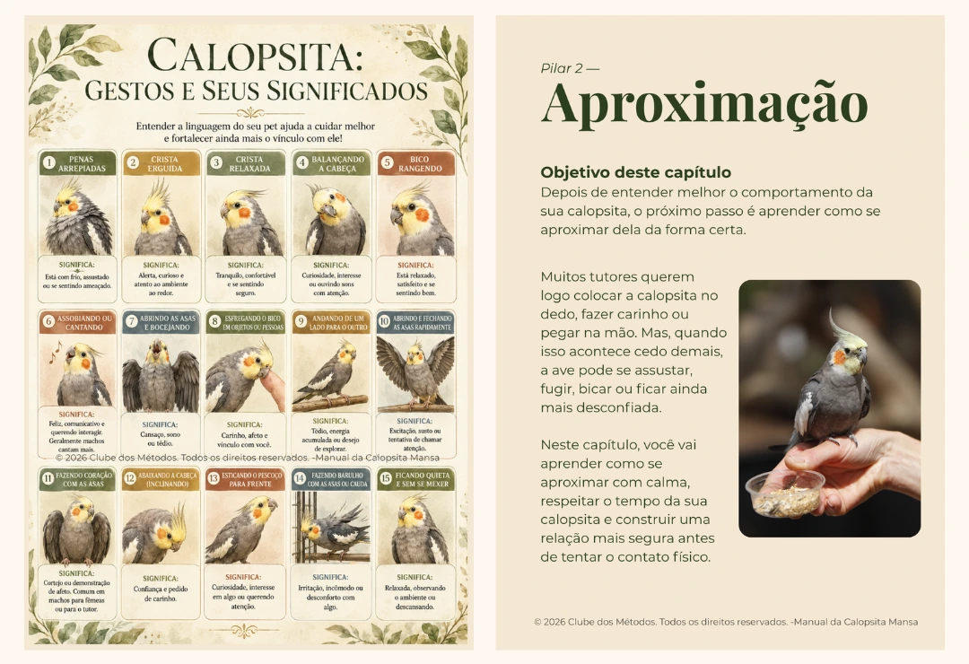 Página 1 do Manual da Calopsita Mansa