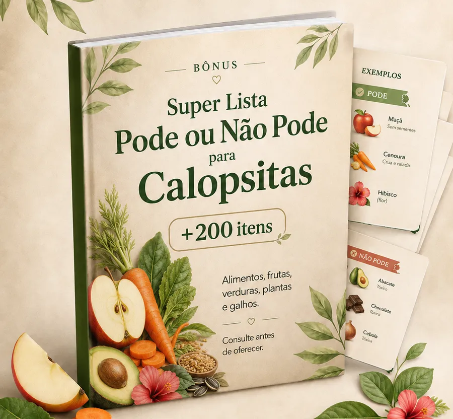 Super Lista Pode ou Não Pode +200 Itens